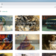 Screenshot of Manybooks